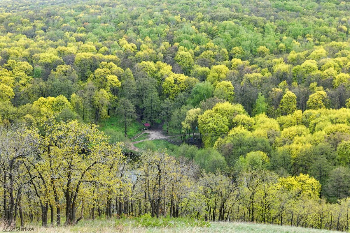 Природный парк кумысная поляна саратов фото Кумысная поляна - блог Санатории Кавказа