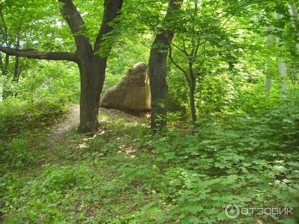 Природный парк кумысная поляна саратов фото Отзыв о Лесопарк "Кумысная поляна" (Россия, Саратов) Лес дарящий покой и силу.