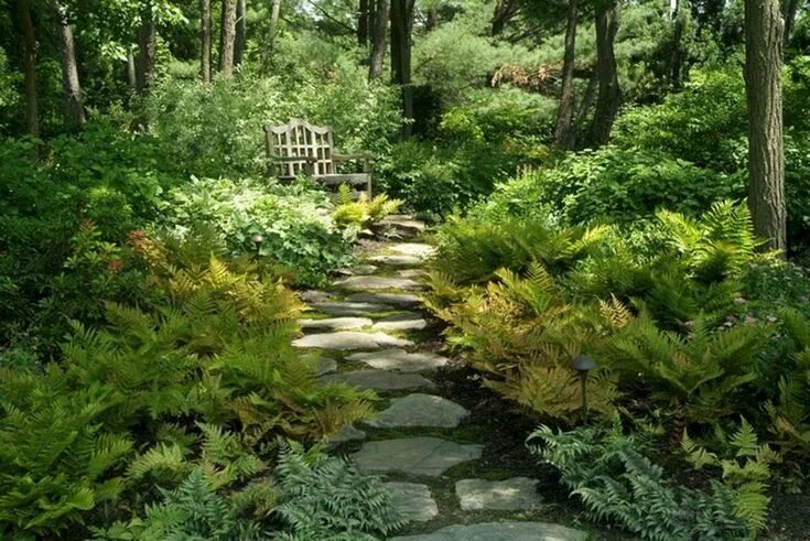 Природный сад в ландшафтном дизайне 38+ Wonderful Woodland Garden Ideas Easy To Create Shade garden design, Woodland