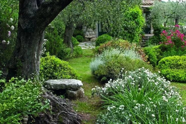 Природный сад в ландшафтном дизайне Pin by о б on Идеи для сада Dream garden, Landscape design, Garden