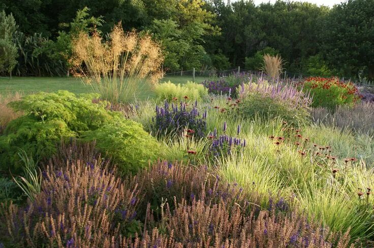 Природный сад в ландшафтном дизайне west cork piet oudolf Landscape design, Dream garden, Prairie garden