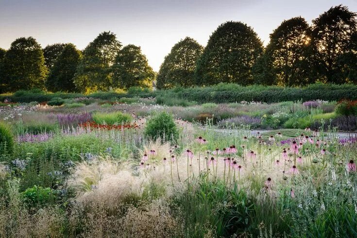 Природный сад в ландшафтном дизайне фото Pin by Ирина Николаевна on сад Naturalistic garden, Landscape design, Prairie ga