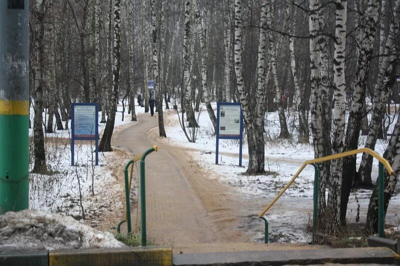 Природный заказник медведковский москва медведковский лесопарк фото Северное и Южное Медведково: реновация промзон и жилого фонда