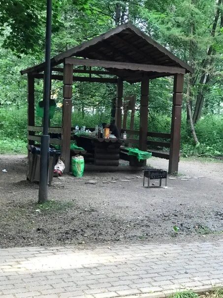 Природный заказник медведковский москва медведковский лесопарк фото В "Медведковском лесопарке" из-за любителей пикников и шашлыков, которые распола