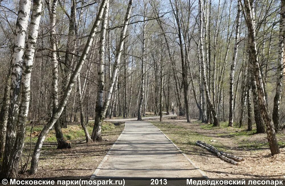 Природный заказник медведковский москва медведковский лесопарк фото Медведковский лесопарк - Парки москвы - отличное место для прогулки и не только.