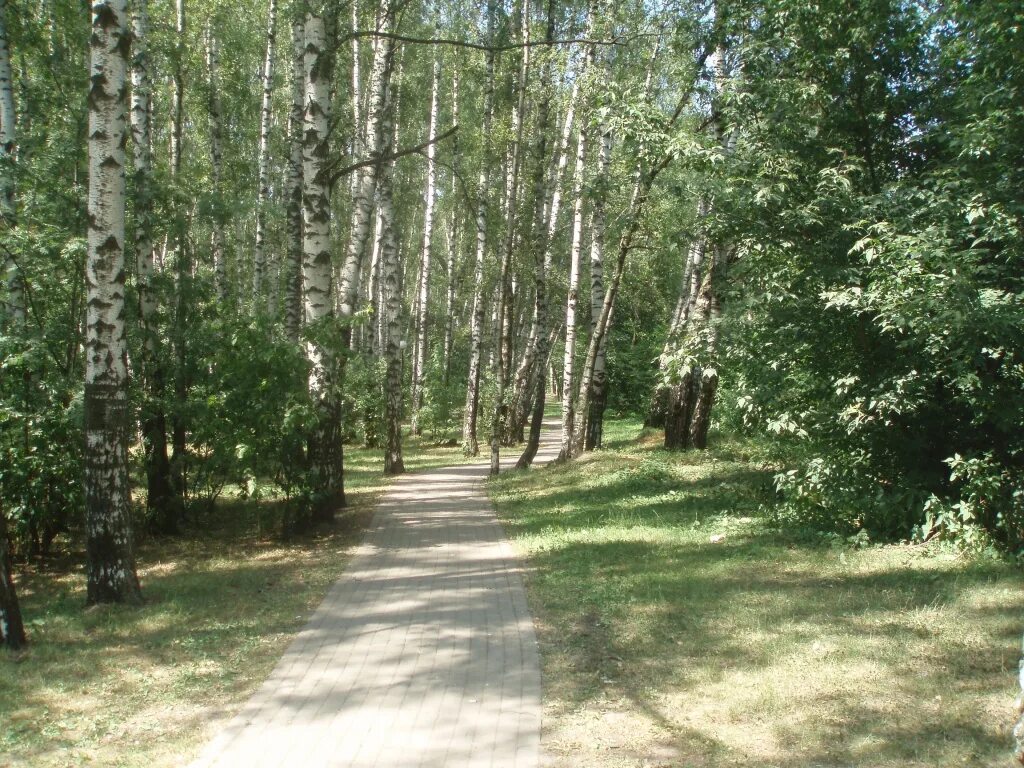 Природный заказник медведковский москва медведковский лесопарк фото Медведковский лесопарк Москва и Москвичи