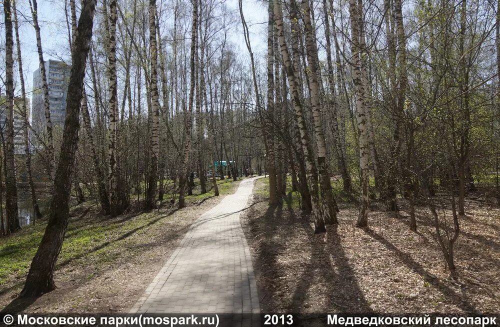 Природный заказник медведковский москва медведковский лесопарк фото Медведковский лесопарк - Парки москвы - отличное место для прогулки и не только.