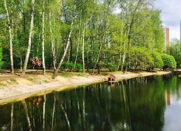 Природный заказник медведковский москва медведковский лесопарк фото Медведково вода