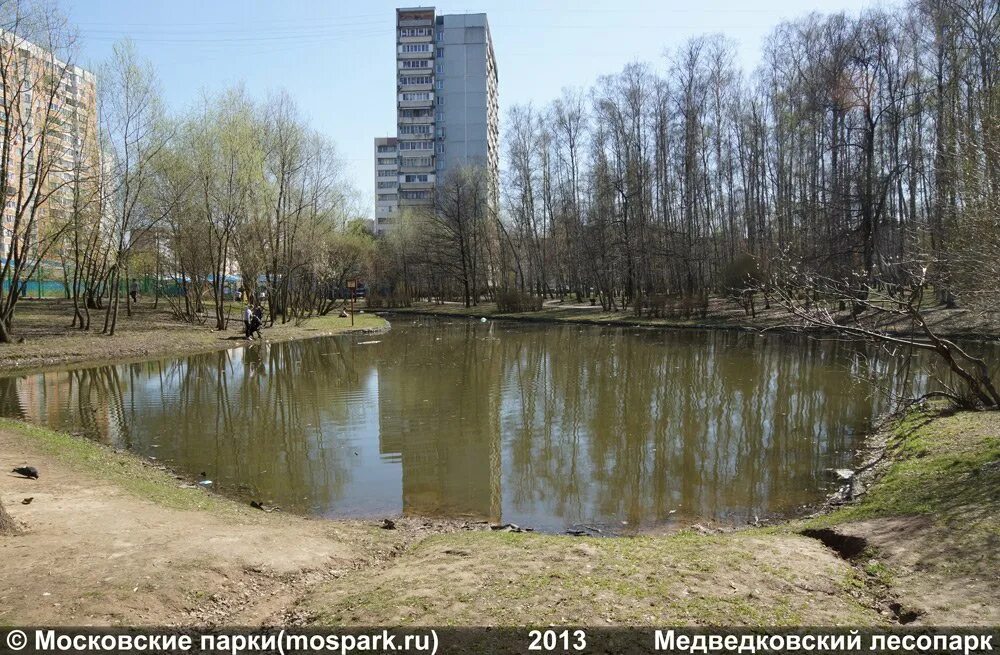 Природный заказник медведковский москва медведковский лесопарк фото Медведковский лесопарк - Парки москвы - отличное место для прогулки и не только.