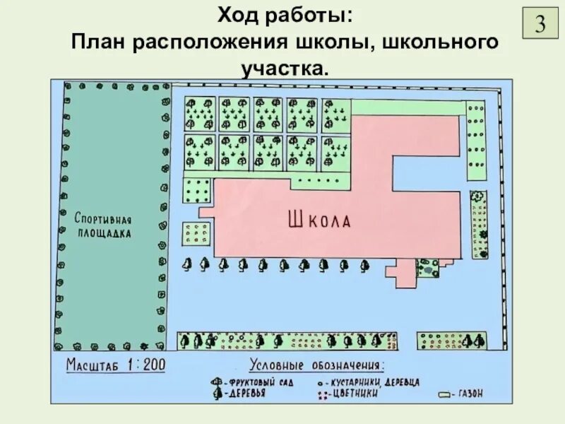 Пришкольный участок 79 фото схема Карта территории школы