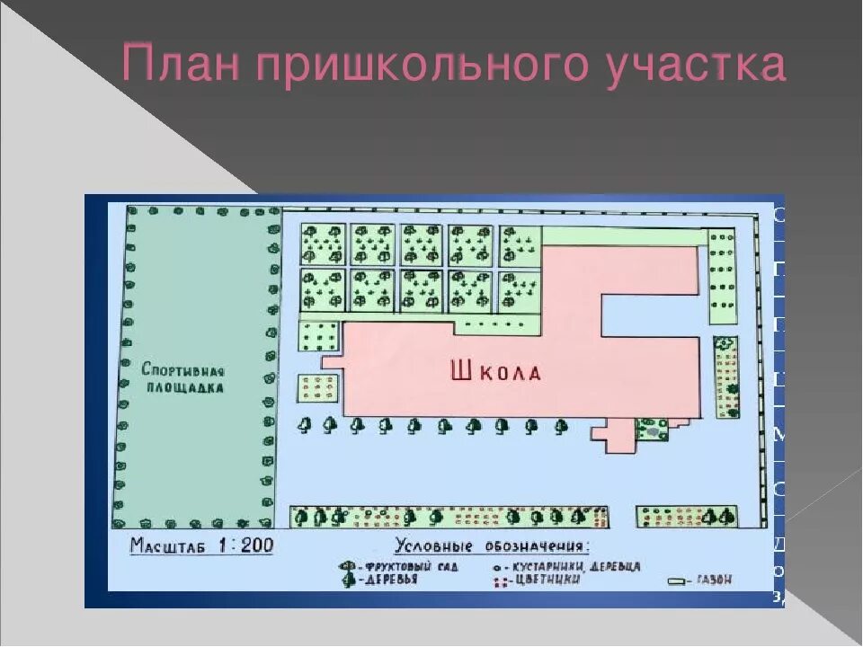 Пришкольный участок 79 фото схема План схема школьного двора