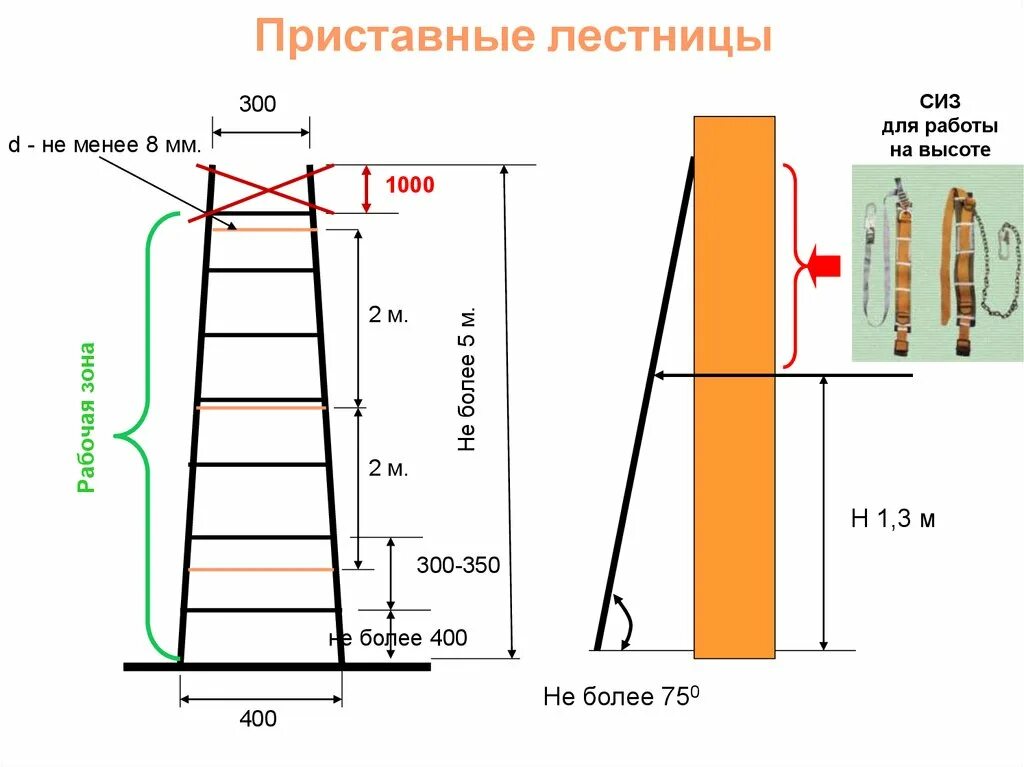 Приставная лестница размеры чертеж Ширина приставной лестницы фото - DelaDom.ru