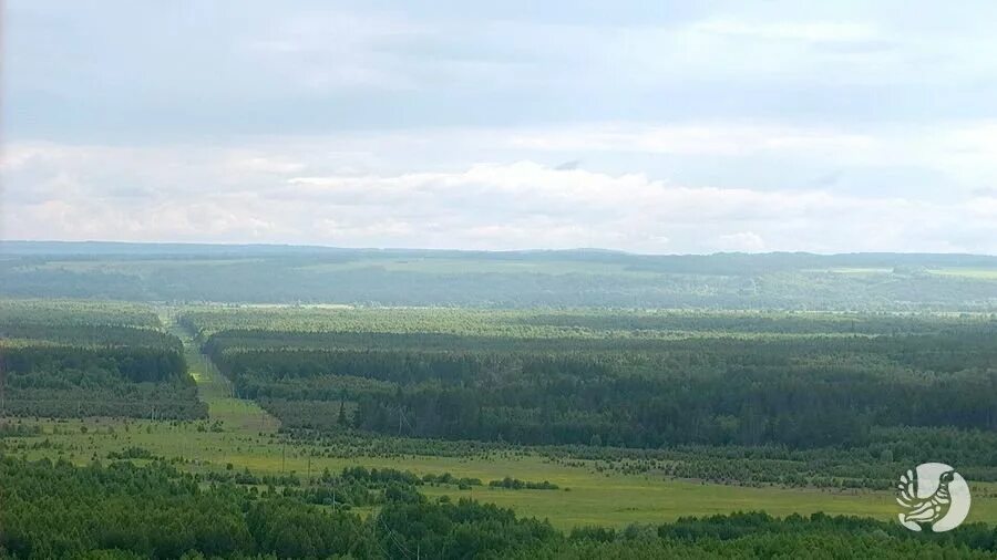 Присурский заповедник фото ПРИСУРСКИЙ - государственный природный заповедник " Страница 126