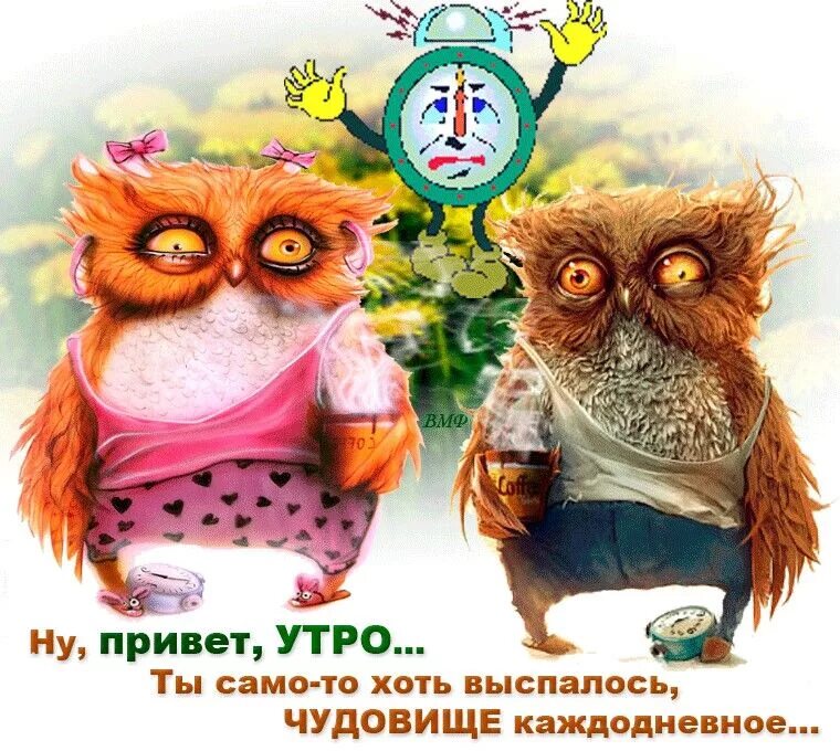 Привет доброе утро картинки прикольные смешные Two Owls Standing Together