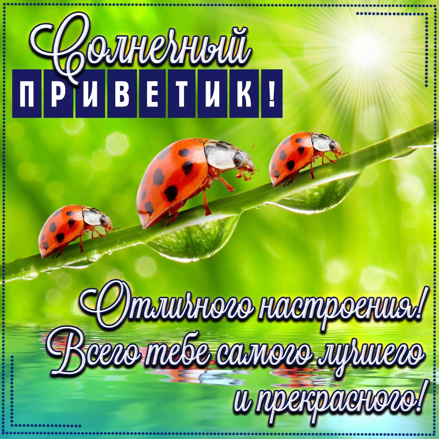 Привет пожелание хорошего дня картинки Открытка с солнечным приветиком в рамочке