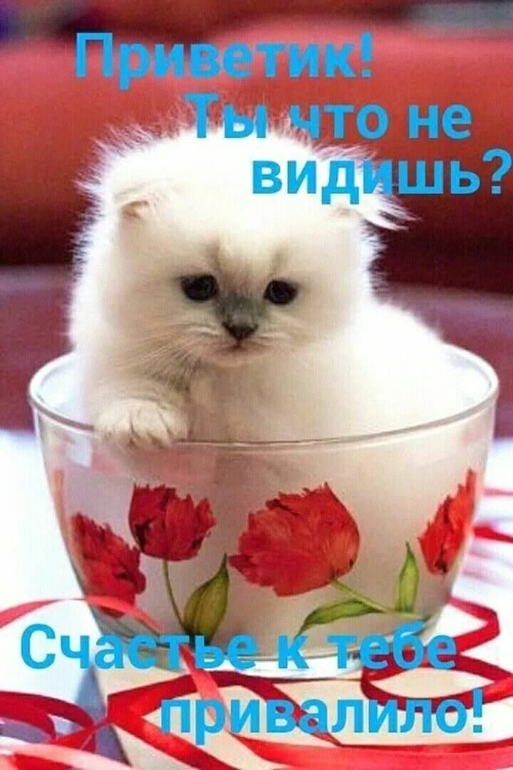 Приветик доброе утро позитивные картинки Pin on Спасибо. Cute good night, Good morning good night, Good morning saturday