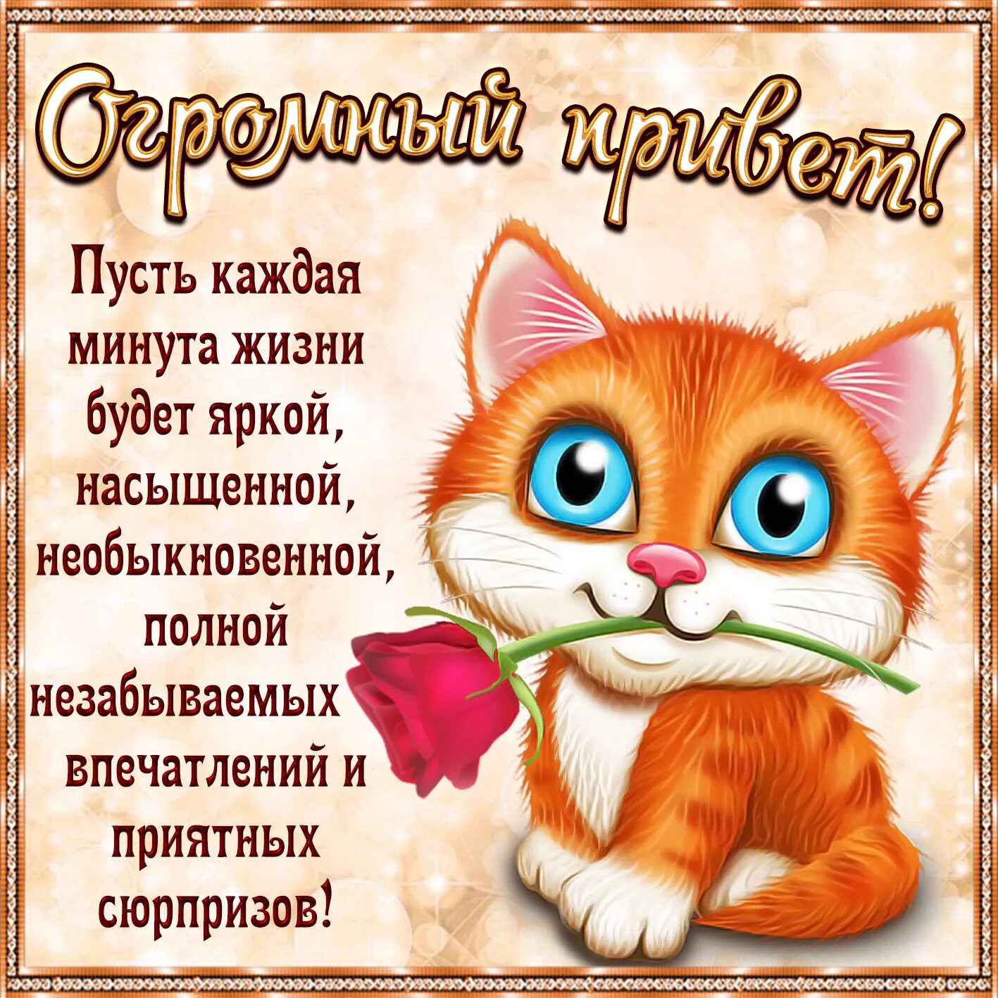 Приветствие в картинках с пожеланием доброго Открытки с приветом в Доме Солнца - Страница 3