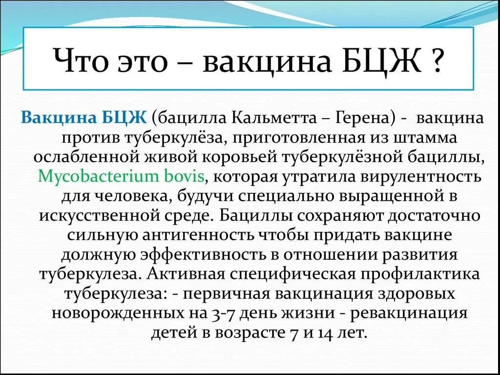 Прививка бцж фото по месяцам Презентация "Бцж" по биологии - скачать проект