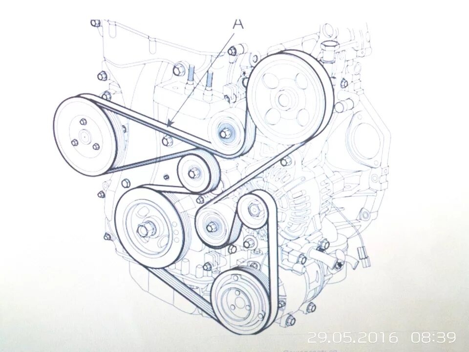 Приводной ремень киа рио фото Поликлиновый ремень навесного оборудования и подшипники роликов - KIA Carens III