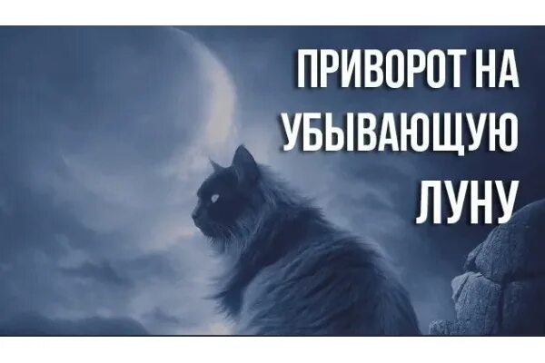 Привороты без фото на растущую луну Приворот на убывающую луну Цена от 650 ₽ Таролог, парапсихолог, эзотерик Консуэл