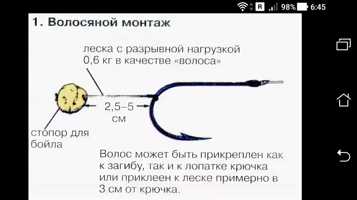 Привязать волосяную оснастку Волосяной монтаж, схема бойла, размер насадки для рыболовного крючка Фото заметк