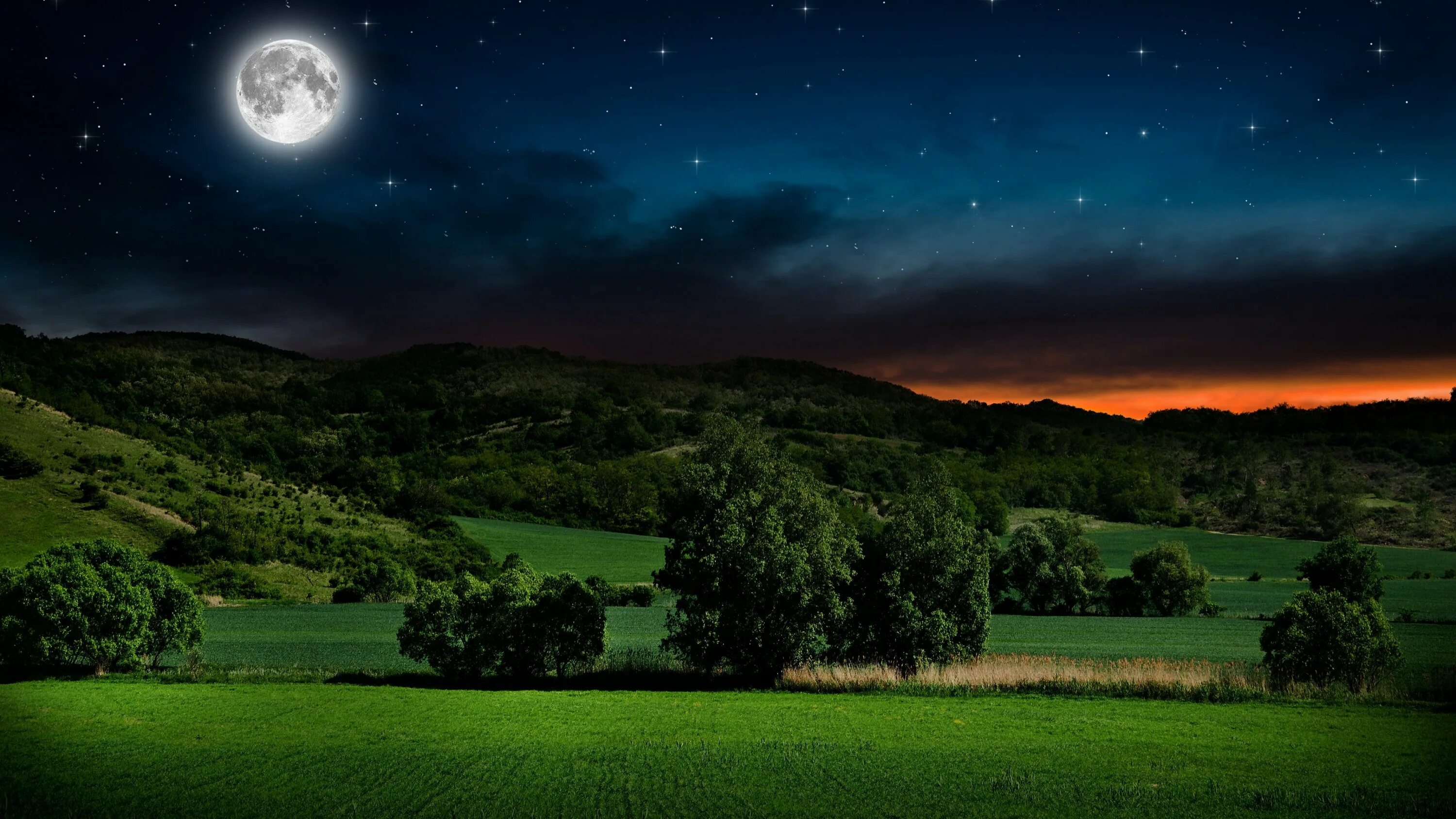 Приятная ночь фото #sky #nature full moon #grassland #night #meadow #landscape #field #tree #grass 