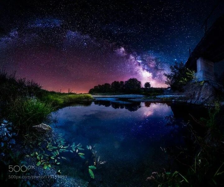 Приятная ночь фото Kingdom of Frogs I didn't count neither the stars that night nor the frogs Camer