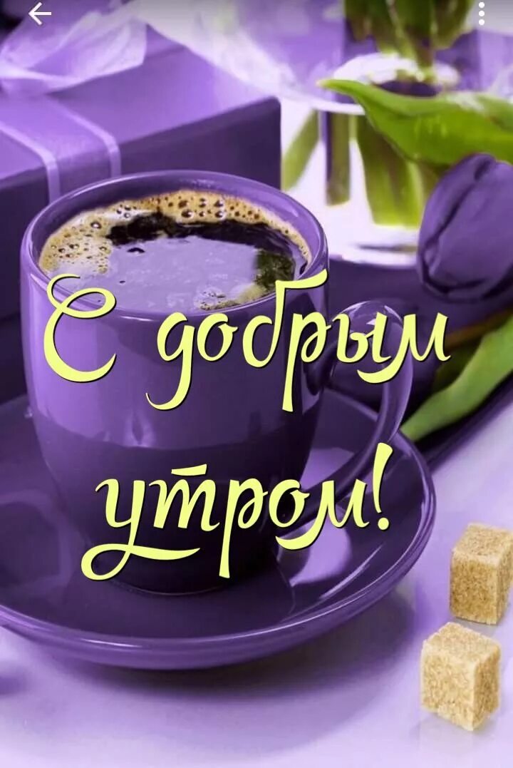 Приятного доброго утра картинки Pin auf Доброе утро Guten morgen