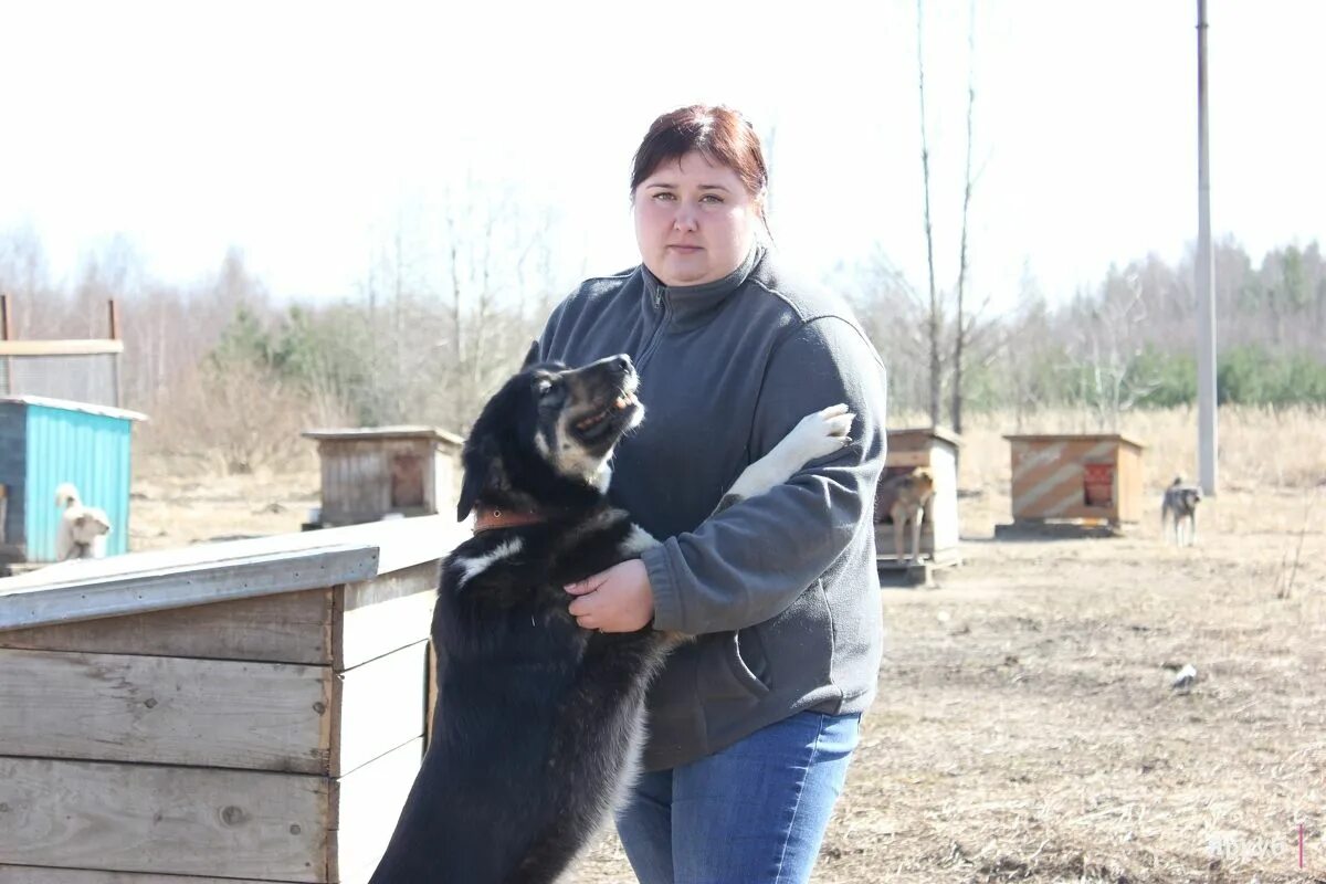 Приют ковчег ярославль заволжский район фото Поиск по тегу информационное агентство ЯрКуб.