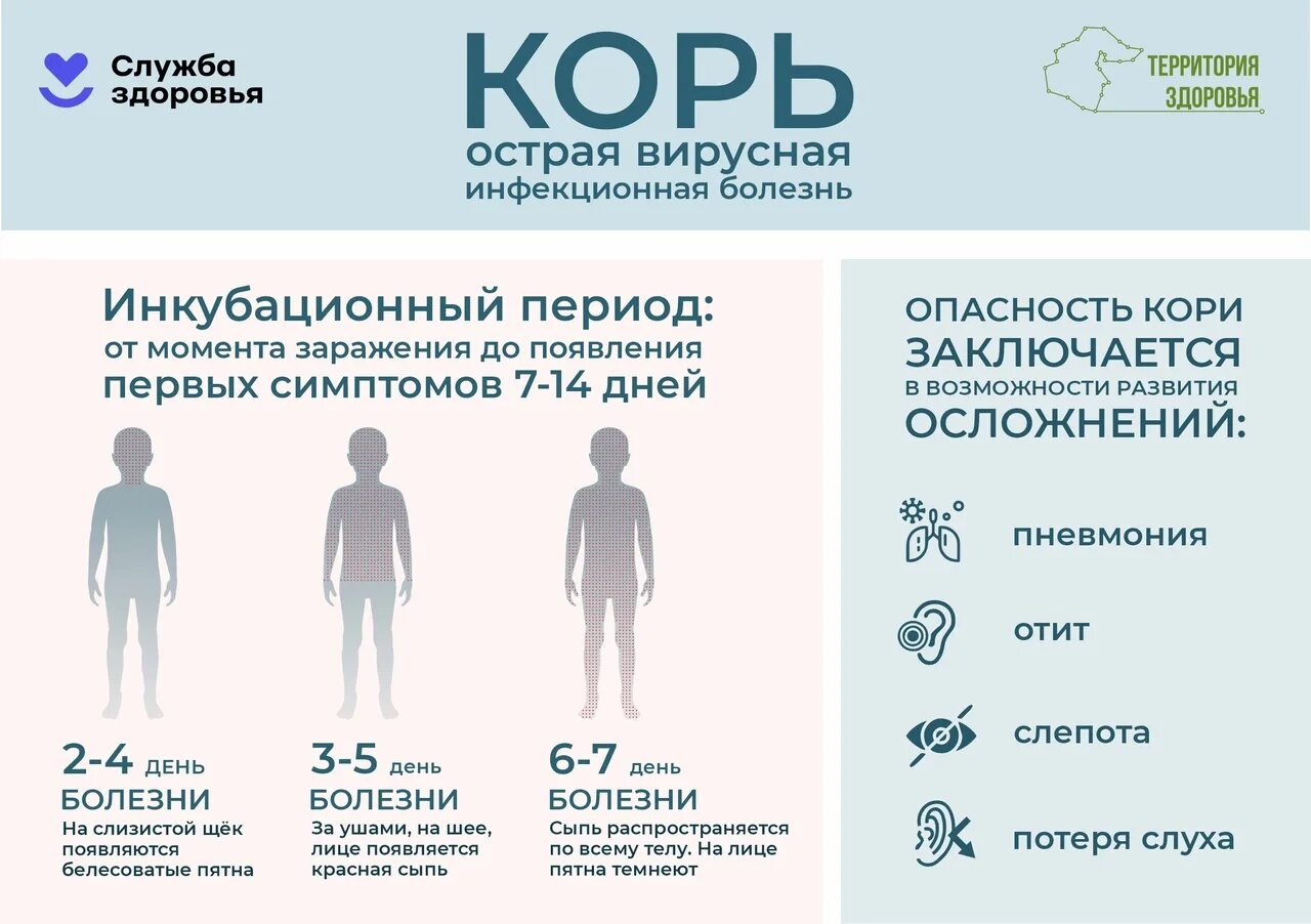 Признаки кори у взрослых симптомы фото лечение Корь - одно из наиболее заразных инфекционных заболеваний