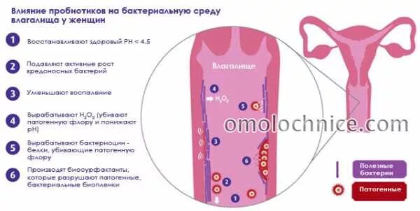 Признаки молочницы у мужчин симптомы фото Антибиотики могут повлиять на месячные - найдено 82 фото