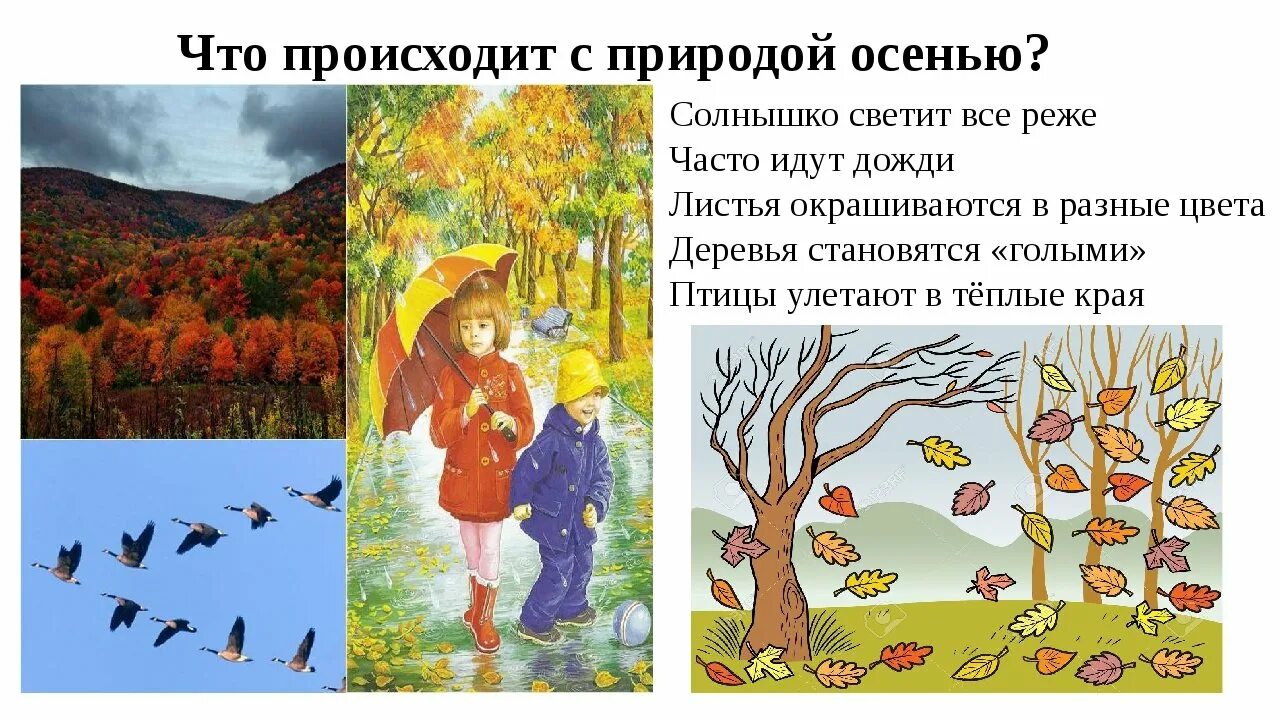 Признаки осени фото Рисунок сезонные изменения в природе