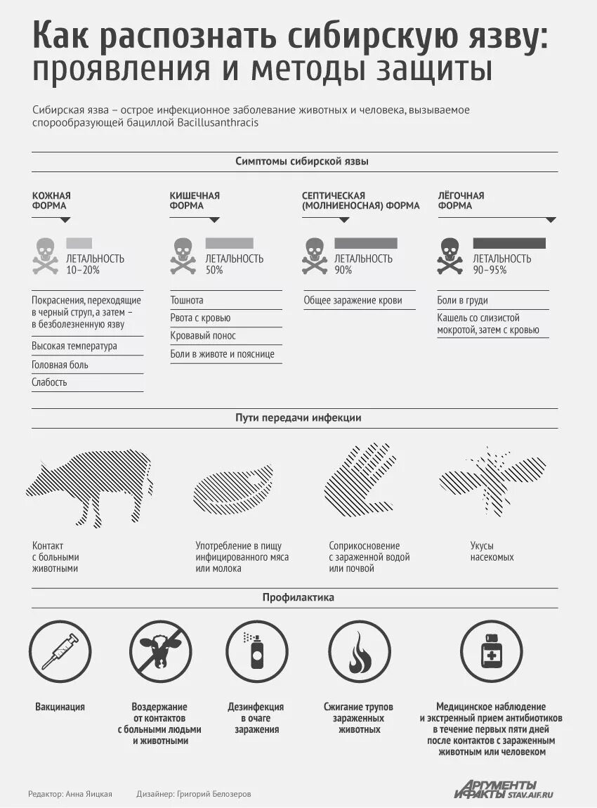 Признаки сибирской язвы фото Как распознать сибирскую язву. Инфографика АиФ Ставрополь