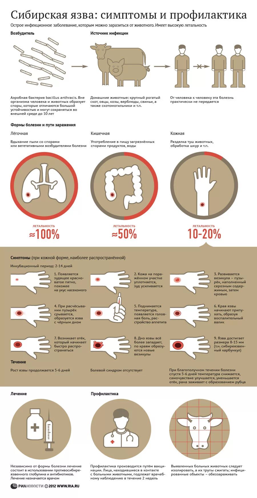 Признаки сибирской язвы у человека фото Роспотребнадзор: очаг сибирской язвы на Ставрополье ликвидирован - РИА Новости, 