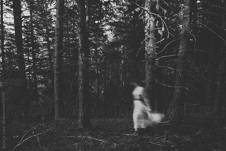 Призраки леса фото "Ghost In The Woods" by Stocksy Contributor "Sara K Byrne Photography" Ghost pho