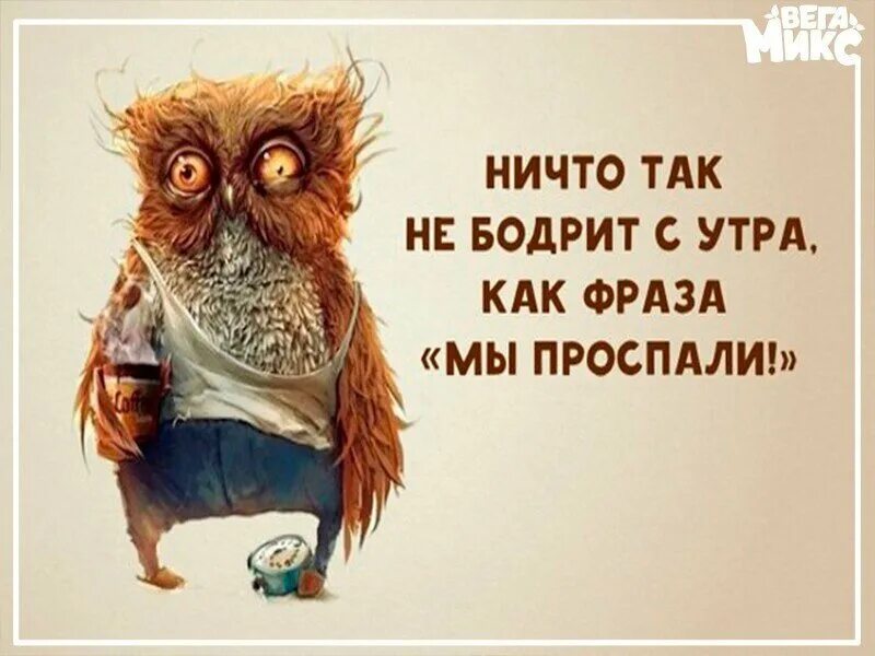 Про бодрое утро картинки прикольные Пять лично проверенных способов быть бодрее утром! Подходит даже для сов. Карта 