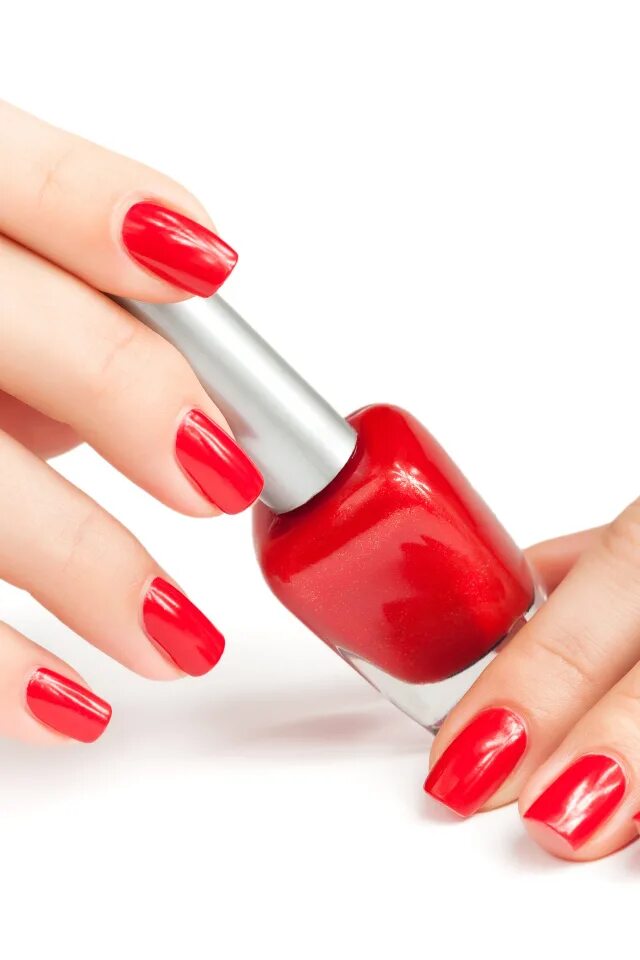 Про маникюр красный Female hands with a red manicure and varnish on a white background Desktop wallp