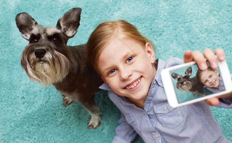 Про своих домашних питомцев Sorry bro, I prefer the dog': Kids pick pets over siblings The West Australian