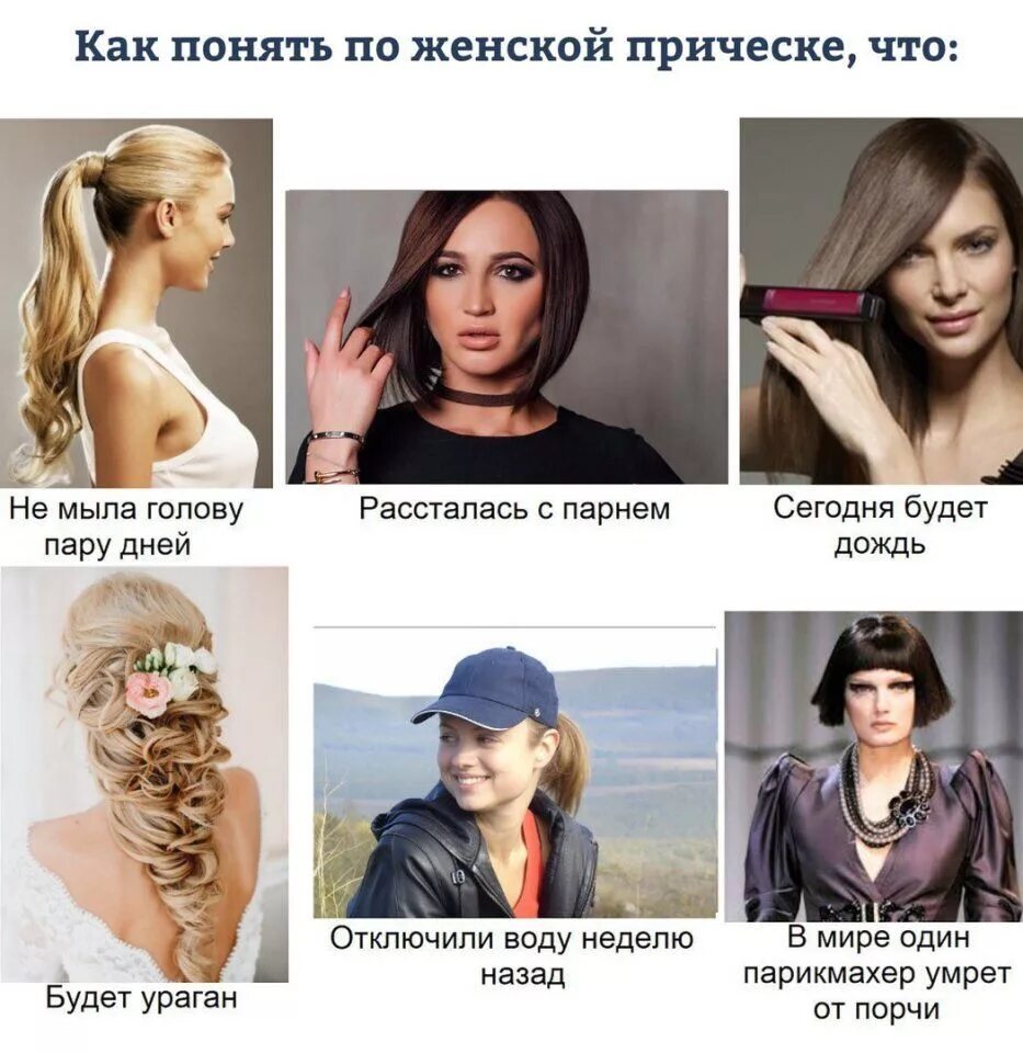 Про женскую прическу Pin on Юмор in 2024 + core + aesthetic, Memes, Lovely