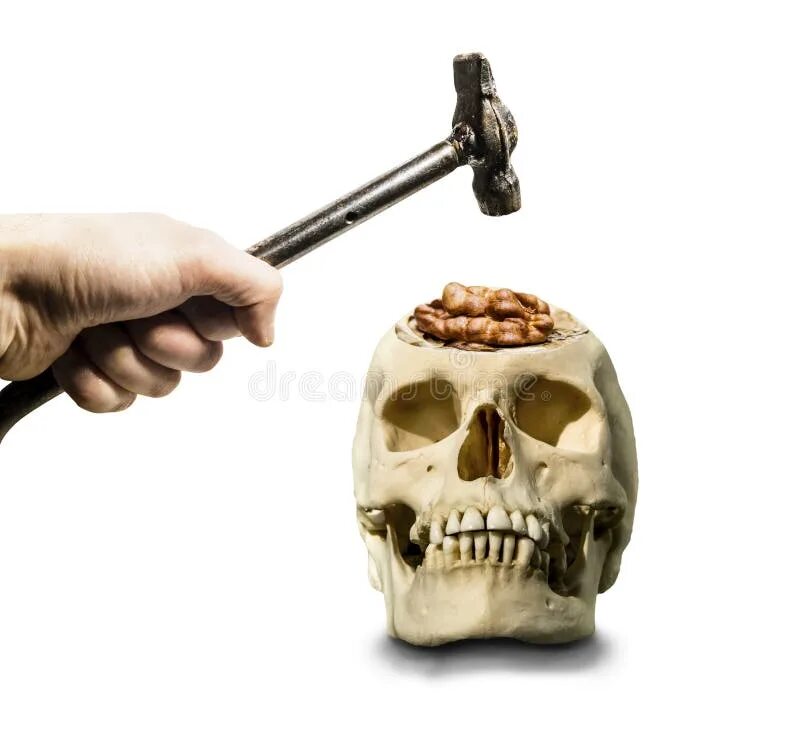 Пробитый череп фото The Hand with the Hammer Hovered Over the Open Skull with the Br Stock Photo - I