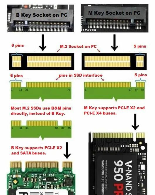 Проблемы подключения hdd через pci e 1 Buy sata nvme cheap online