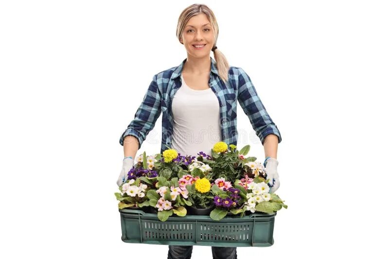 Продавец цветов фото Female Florist Holding a Rack of Flowers Stock Photo - Image of florist, horticu