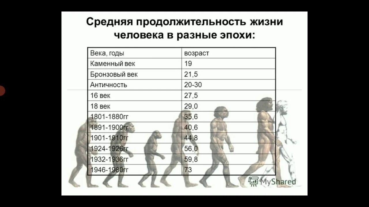 Продолжительность жизни фото Длительность жизни человека