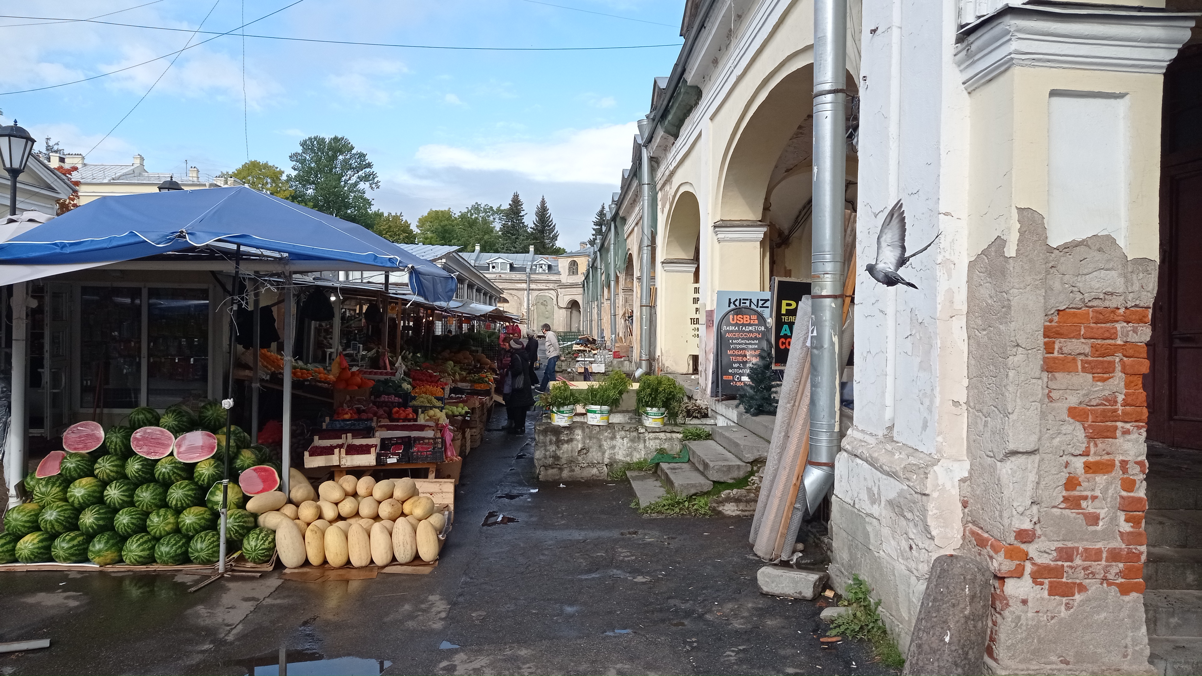 Продуктовый рынок ул володарского 16 гатчина фото Отзывы о "Продуктовый рынок", Санкт-Петербург, Пушкин, Московская улица, 25Б - Я