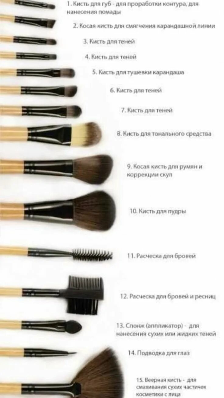 Продукты для макияжа глаз Кисточки и их преднозначение Trucco sbalorditivo, Trucco per il viso, Make up so