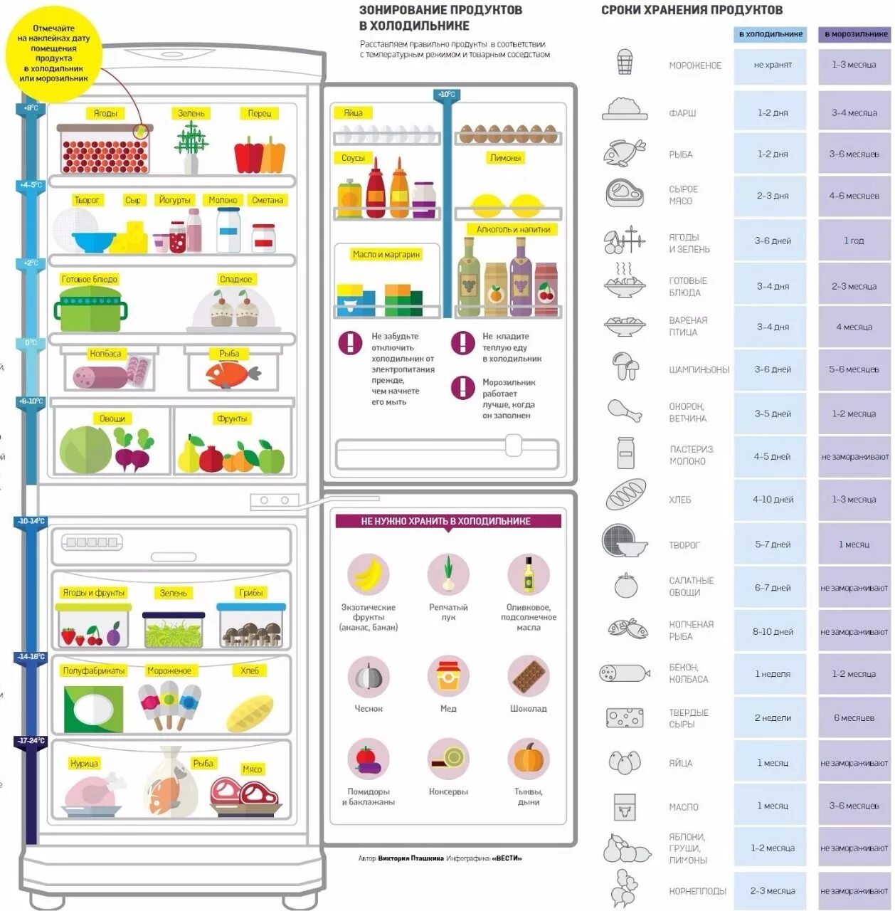 Продукты в холодильнике фото как правильно Pin on Инфографика