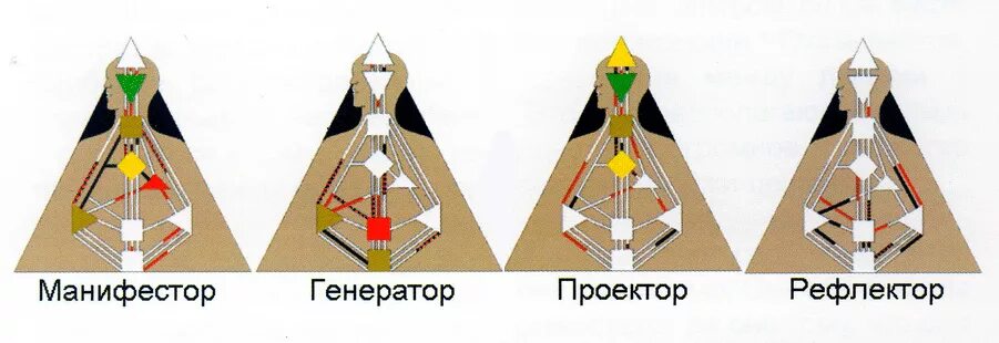 Проект дизайн человека Генераторы, проекторы, манифесторы и рефлекторы - Human Design Planet