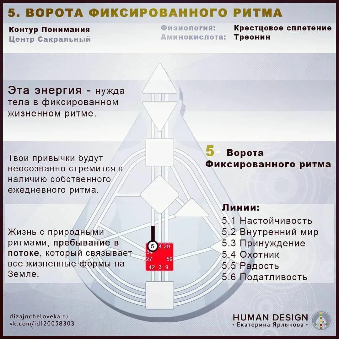 Проект дизайн человека 5 Ворота (Дизайн Человека) - Design Human Online Дизайн, Тип дизайн, Дизайн карт