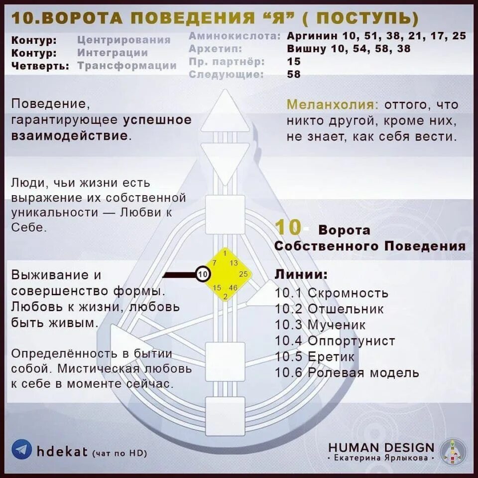 Проект дизайн человека 10 Ворота Дизайн Человека (Human Design). Дизайн, Дизайн карты, Человек