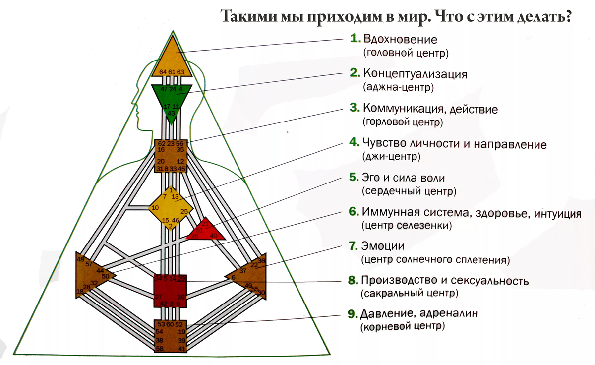 Проект дизайн человека Вся правда о human design EsotericsRu Дзен